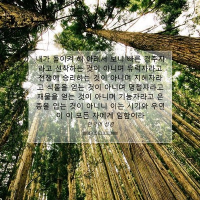 Picture 07 - 전도서 9:11 KOR - 내가 돌이켜 해 아래서 보니 빠른 - Bible Verse Picture
