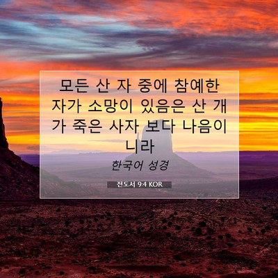 Picture 07 - 전도서 9:4 KOR - 모든 산 자 중에 참예한 자가 소망이 - Bible Verse Picture
