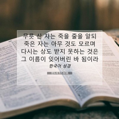 Picture 07 - 전도서 9:5 KOR - 무릇 산 자는 죽을 줄을 알되 죽은 - Bible Verse Picture