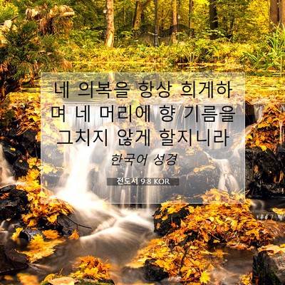 Picture 07 - 전도서 9:8 KOR - 네 의복을 항상 희게하며 네 머리에 - Bible Verse Picture