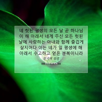 Picture 07 - 전도서 9:9 KOR - 네 헛된 평생의 모든 날 곧 하나님이 - Bible Verse Picture