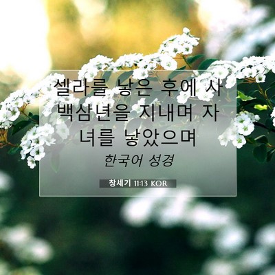 Picture 07 - 창세기 11:13 KOR - 셀라를 낳은 후에 사백삼년을 지내며 - Bible Verse Picture