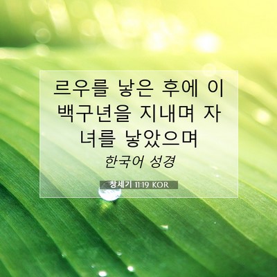Picture 07 - 창세기 11:19 KOR - 르우를 낳은 후에 이백구년을 지내며 - Bible Verse Picture