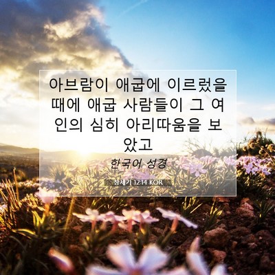 Picture 07 - 창세기 12:14 KOR - 아브람이 애굽에 이르렀을 때에 애굽 - Bible Verse Picture