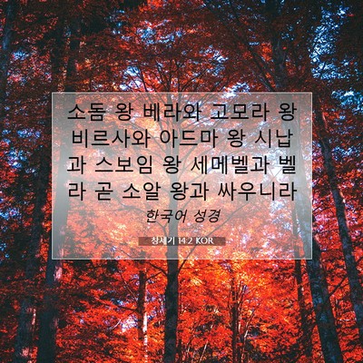 Picture 07 - 창세기 14:2 KOR - 소돔 왕 베라와 고모라 왕 비르사와 - Bible Verse Picture