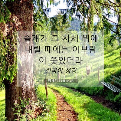 Picture 07 - 창세기 15:11 KOR - 솔개가 그 사체 위에 내릴 때에는 - Bible Verse Picture
