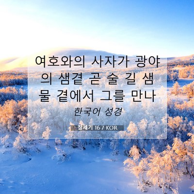 Picture 07 - 창세기 16:7 KOR - 여호와의 사자가 광야의 샘곁 곧 술 - Bible Verse Picture