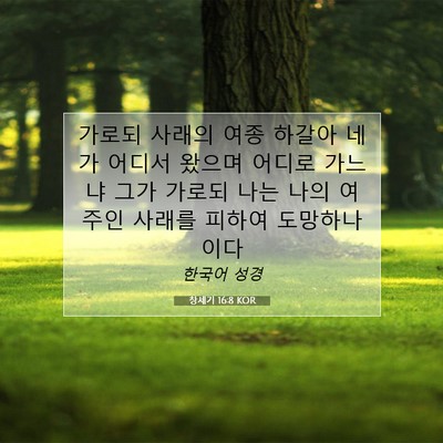 Picture 07 - 창세기 16:8 KOR - 가로되 사래의 여종 하갈아 네가 - Bible Verse Picture