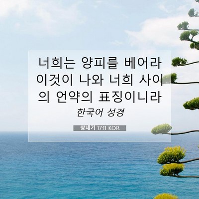 Picture 07 - 창세기 17:11 KOR - 너희는 양피를 베어라 이것이 나와 - Bible Verse Picture