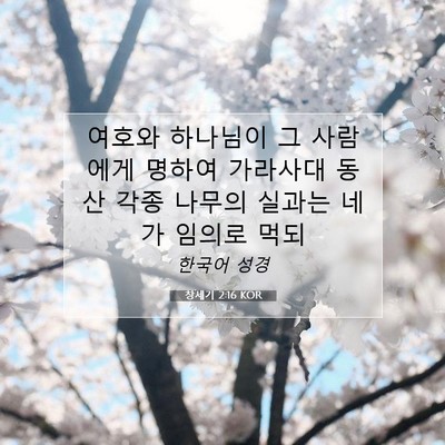 Picture 07 - 창세기 2:16 KOR - 여호와 하나님이 그 사람에게 명하여 - Bible Verse Picture