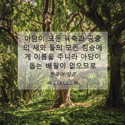 Picture 07 - 창세기 2:20 KOR - 아담이 모든 육축과 공중의 새와 - Bible Verse Picture