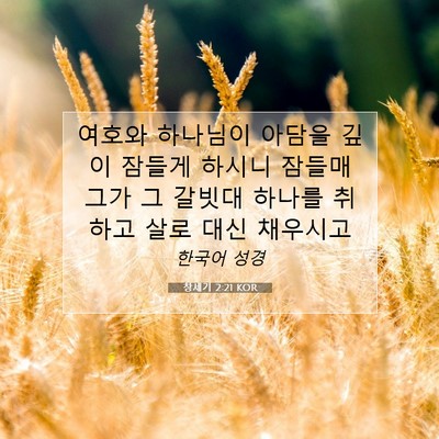 Picture 07 - 창세기 2:21 KOR - 여호와 하나님이 아담을 깊이 잠들게 - Bible Verse Picture