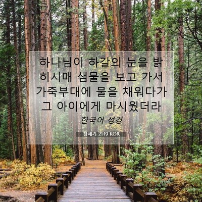 Picture 07 - 창세기 21:19 KOR - 하나님이 하갈의 눈을 밝히시매 - Bible Verse Picture