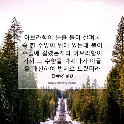 Picture 07 - 창세기 22:13 KOR - 아브라함이 눈을 들어 살펴본즉 한 - Bible Verse Picture
