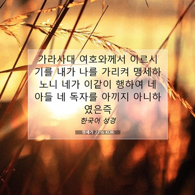 Picture 07 - 창세기 22:16 KOR - 가라사대 여호와께서 이르시기를 - Bible Verse Picture