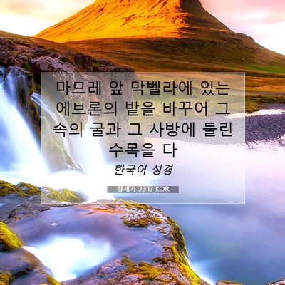 Picture 07 - 창세기 23:17 KOR - 마므레 앞 막벨라에 있는 에브론의 - Bible Verse Picture