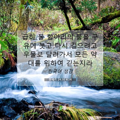 Picture 07 - 창세기 24:20 KOR - 급히 물 항아리의 물을 구유에 붓고 - Bible Verse Picture