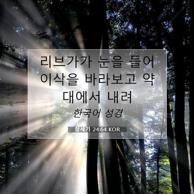 Picture 07 - 창세기 24:64 KOR - 리브가가 눈을 들어 이삭을 바라보고 - Bible Verse Picture