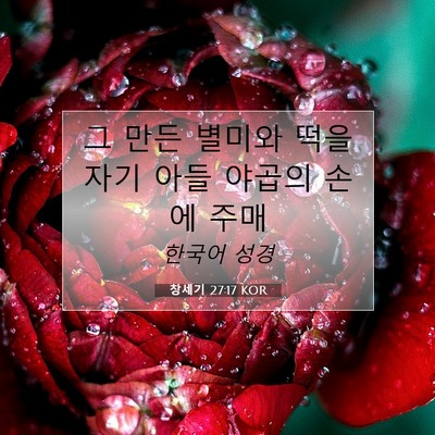 Picture 07 - 창세기 27:17 KOR - 그 만든 별미와 떡을 자기 아들 - Bible Verse Picture