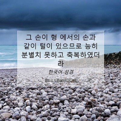 Picture 07 - 창세기 27:23 KOR - 그 손이 형 에서의 손과 같이 털이 - Bible Verse Picture