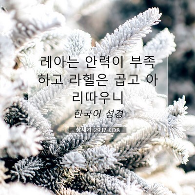 Picture 07 - 창세기 29:17 KOR - 레아는 안력이 부족하고 라헬은 곱고 - Bible Verse Picture