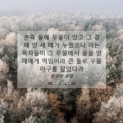 Picture 07 - 창세기 29:2 KOR - 본즉 들에 우물이 있고 그 곁에 양 세 - Bible Verse Picture
