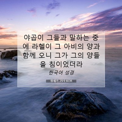 Picture 07 - 창세기 29:9 KOR - 야곱이 그들과 말하는 중에 라헬이 - Bible Verse Picture