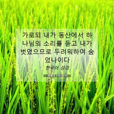 Picture 07 - 창세기 3:10 KOR - 가로되 내가 동산에서 하나님의 - Bible Verse Picture