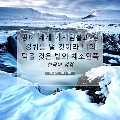 Picture 07 - 창세기 3:18 KOR - 땅이 네게 가시덤불과 엉겅퀴를 낼 - Bible Verse Picture