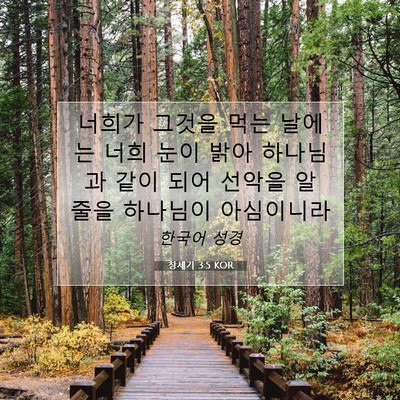 Picture 07 - 창세기 3:5 KOR - 너희가 그것을 먹는 날에는 너희 - Bible Verse Picture