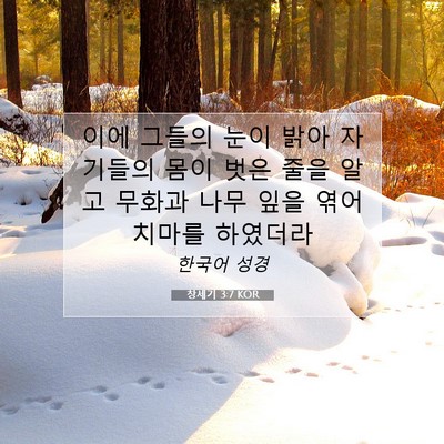Picture 07 - 창세기 3:7 KOR - 이에 그들의 눈이 밝아 자기들의 - Bible Verse Picture