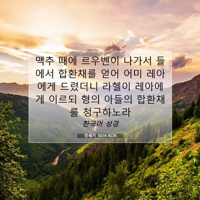 Picture 07 - 창세기 30:14 KOR - 맥추 때에 르우벤이 나가서 들에서 - Bible Verse Picture