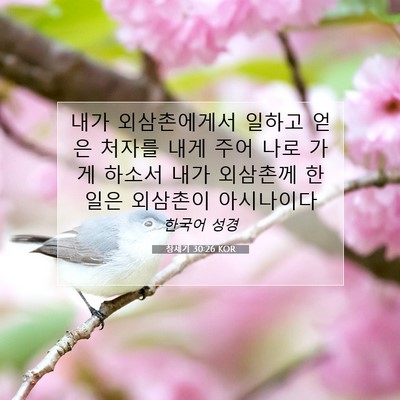 Picture 07 - 창세기 30:26 KOR - 내가 외삼촌에게서 일하고 얻은 - Bible Verse Picture