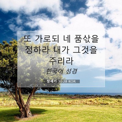 Picture 07 - 창세기 30:28 KOR - 또 가로되 네 품삯을 정하라 내가 - Bible Verse Picture
