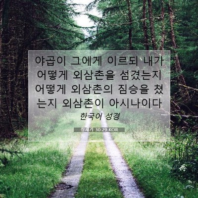 Picture 07 - 창세기 30:29 KOR - 야곱이 그에게 이르되 내가 어떻게 - Bible Verse Picture