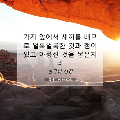 Picture 07 - 창세기 30:39 KOR - 가지 앞에서 새끼를 배므로 - Bible Verse Picture