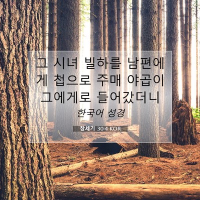 Picture 07 - 창세기 30:4 KOR - 그 시녀 빌하를 남편에게 첩으로 - Bible Verse Picture