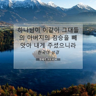 Picture 07 - 창세기 31:9 KOR - 하나님이 이같이 그대들의 아버지의 - Bible Verse Picture