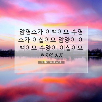 Picture 07 - 창세기 32:14 KOR - 암염소가 이백이요 수염소가 - Bible Verse Picture
