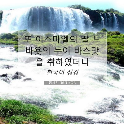 Picture 07 - 창세기 36:3 KOR - 또 이스마엘의 딸 느바욧의 누이 - Bible Verse Picture