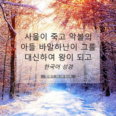 Picture 07 - 창세기 36:38 KOR - 사울이 죽고 악볼의 아들 바알하난이 - Bible Verse Picture
