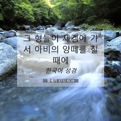 Picture 07 - 창세기 37:12 KOR - 그 형들이 세겜에 가서 아비의 - Bible Verse Picture