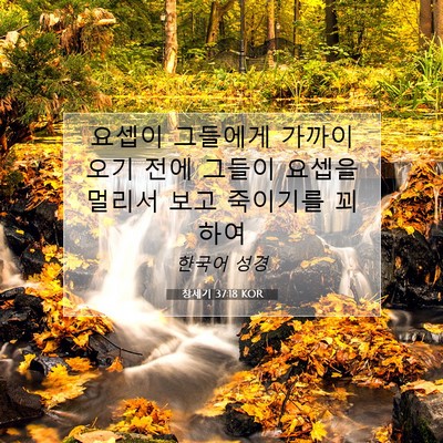 Picture 07 - 창세기 37:18 KOR - 요셉이 그들에게 가까이 오기 전에 - Bible Verse Picture