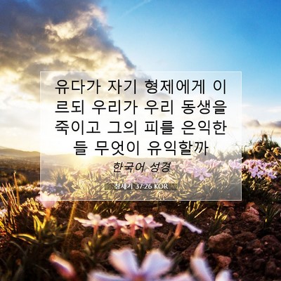 Picture 07 - 창세기 37:26 KOR - 유다가 자기 형제에게 이르되 우리가 - Bible Verse Picture