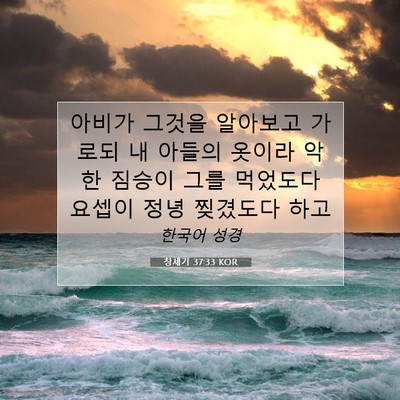 Picture 07 - 창세기 37:33 KOR - 아비가 그것을 알아보고 가로되 내 - Bible Verse Picture