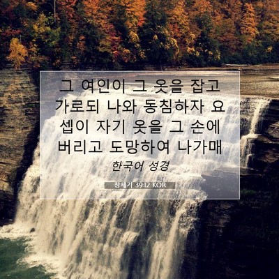 Picture 07 - 창세기 39:12 KOR - 그 여인이 그 옷을 잡고 가로되 나와 - Bible Verse Picture