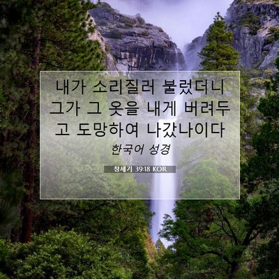 Picture 07 - 창세기 39:18 KOR - 내가 소리질러 불렀더니 그가 그 - Bible Verse Picture