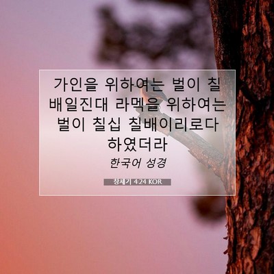 Picture 07 - 창세기 4:24 KOR - 가인을 위하여는 벌이 칠배일진대 - Bible Verse Picture