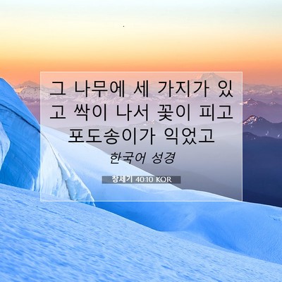 Picture 07 - 창세기 40:10 KOR - 그 나무에 세 가지가 있고 싹이 나서 - Bible Verse Picture