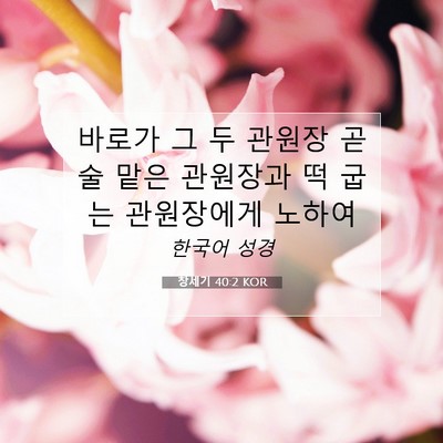Picture 07 - 창세기 40:2 KOR - 바로가 그 두 관원장 곧 술 맡은 - Bible Verse Picture